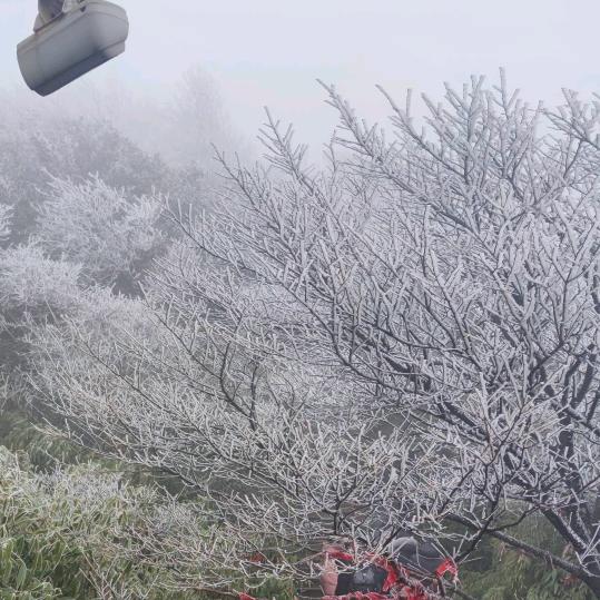 陈涛