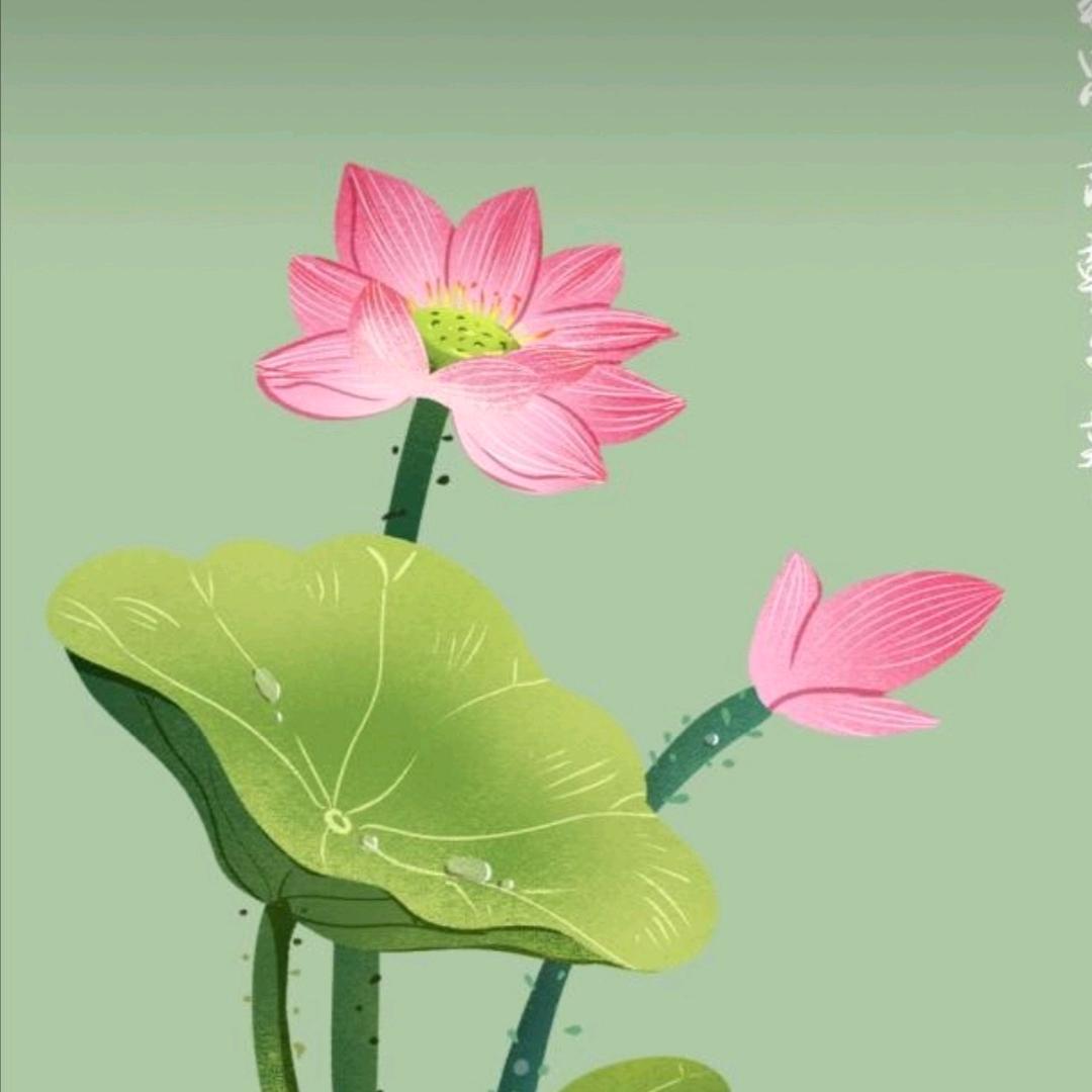 💞꧔ꦿ᭄善待᭄自己💞