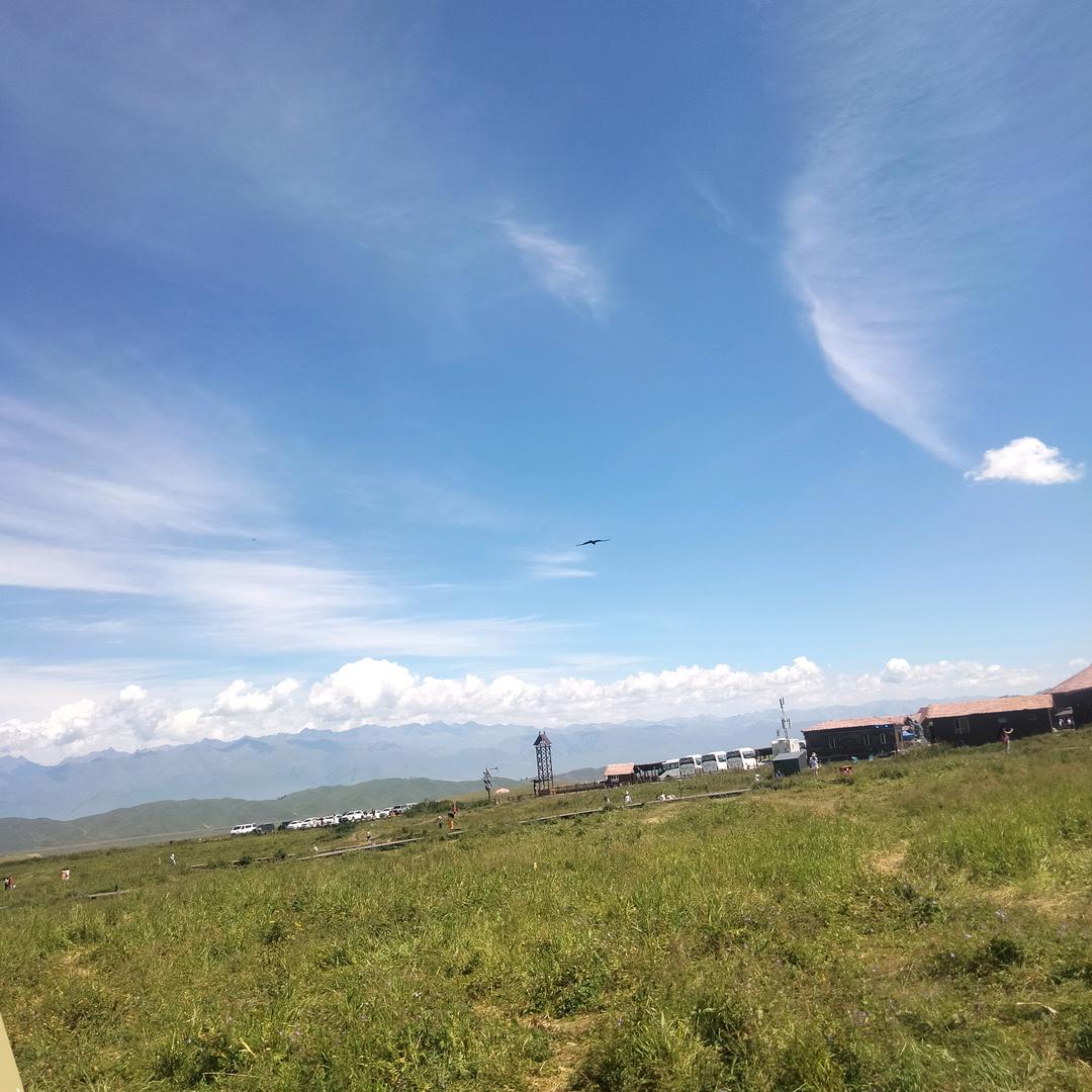 河南人在新疆