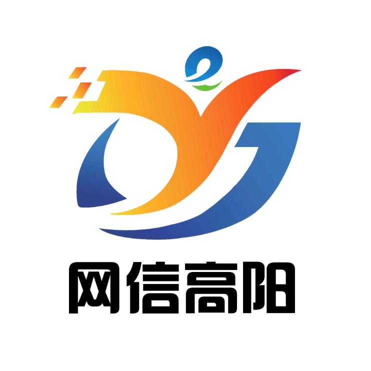 网信高阳