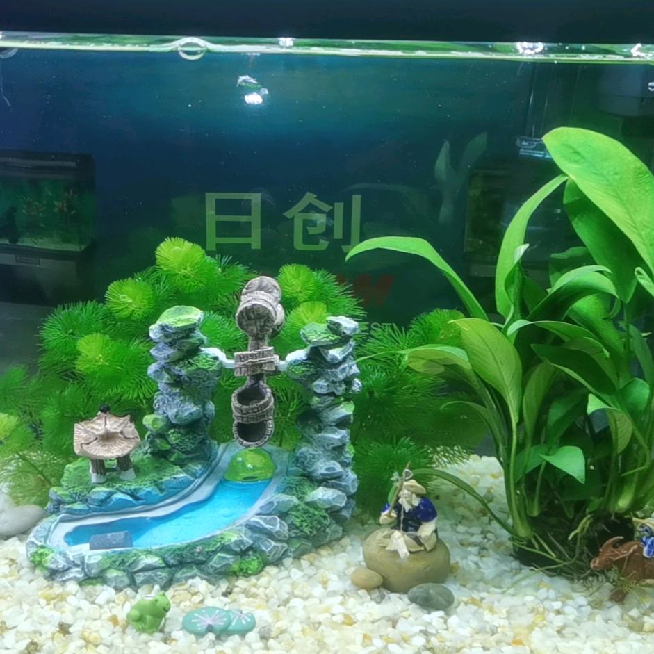 老王哥