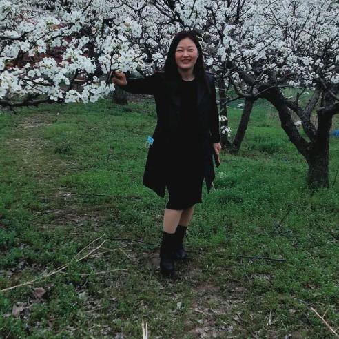 海台饭团，鸡蛋饼，卷饼，茶叶蛋，豆浆，粥