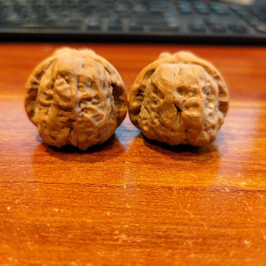 漂泊