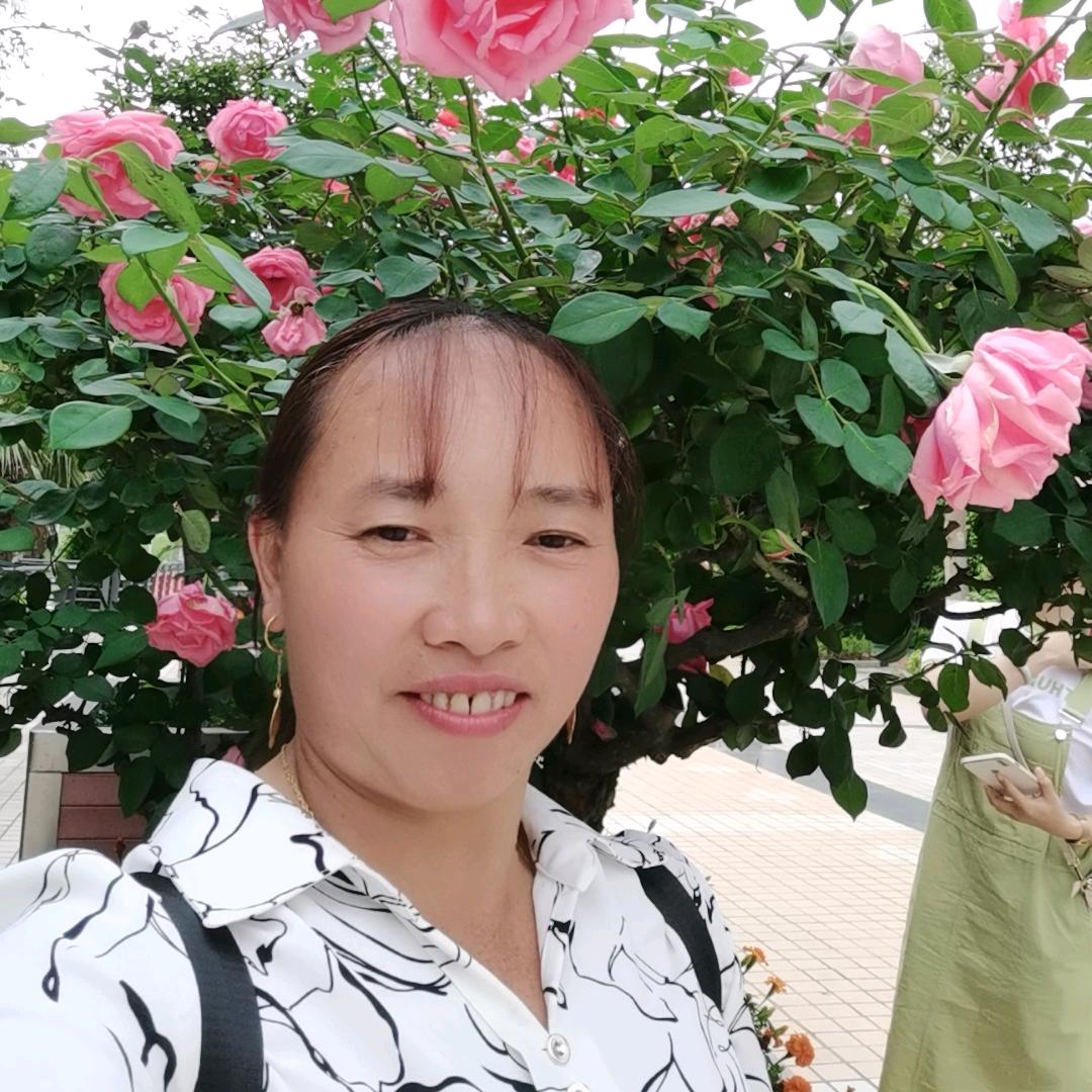 会姐