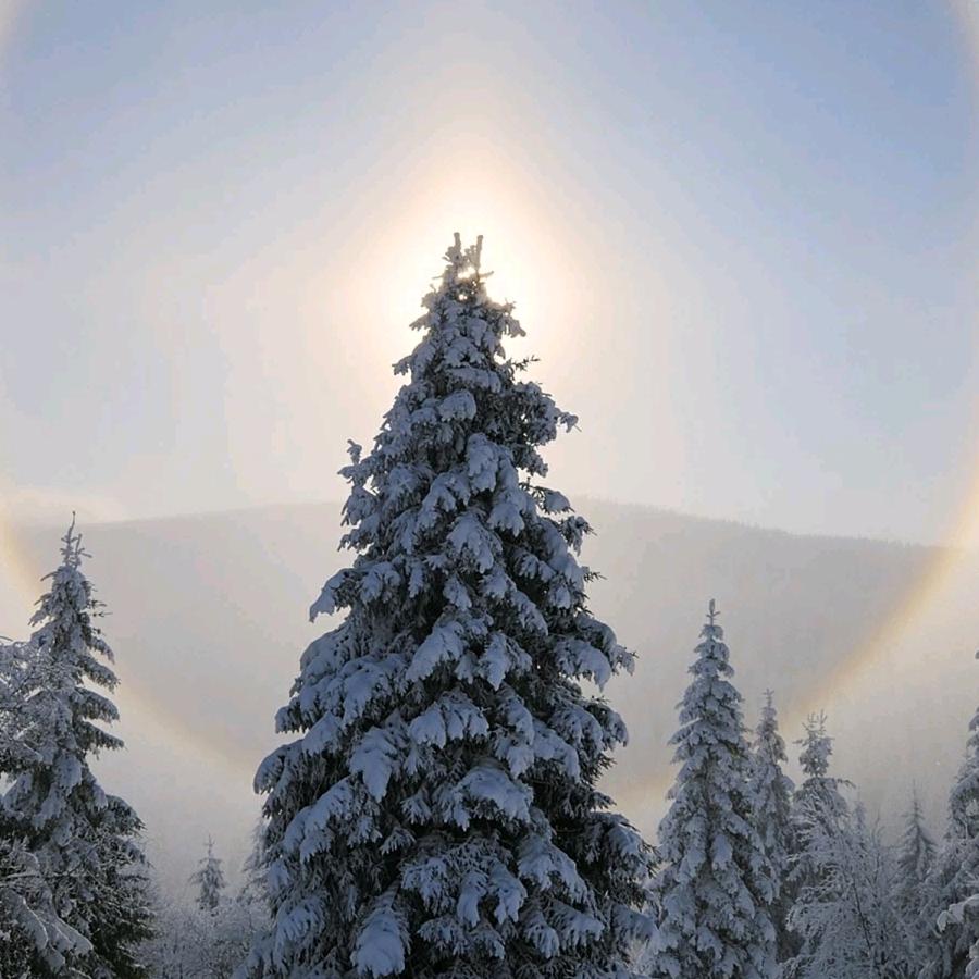 医者仁心，大医精诚