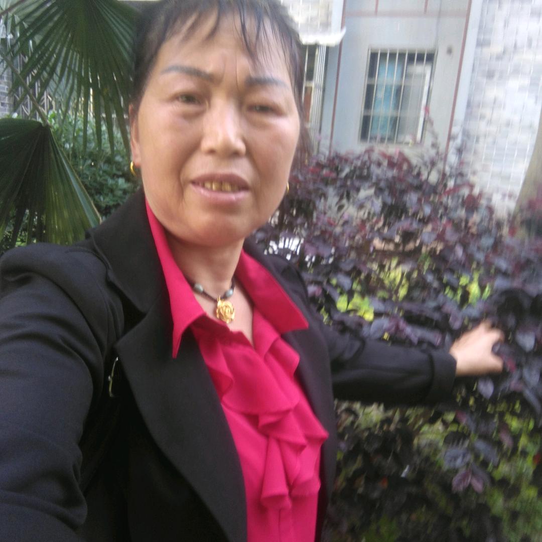 罗发碧