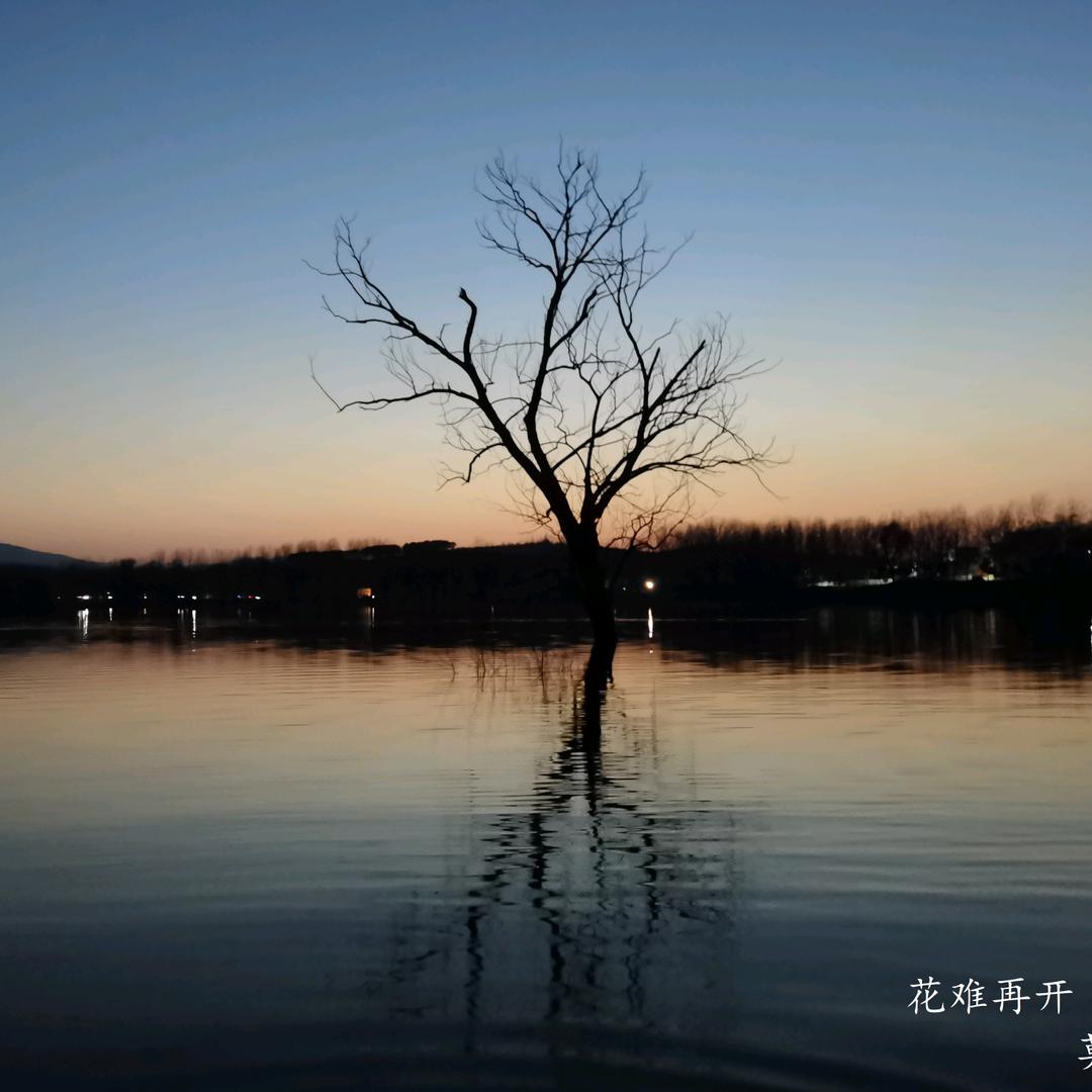 睿智小阎