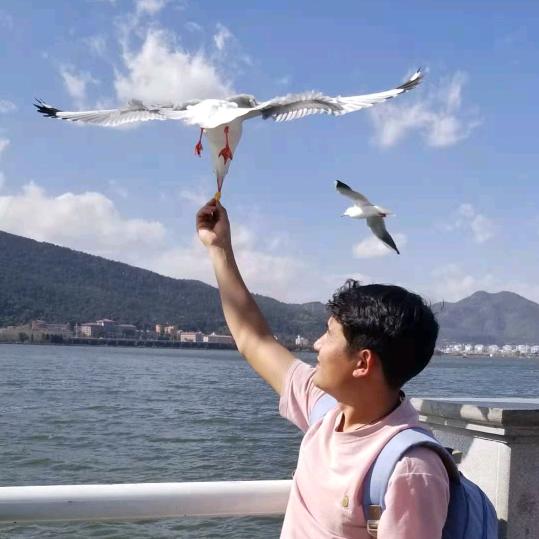 富村镇秋丰种子（小雨汪张家）