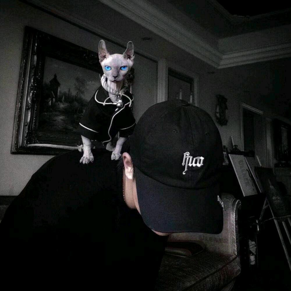 D.a