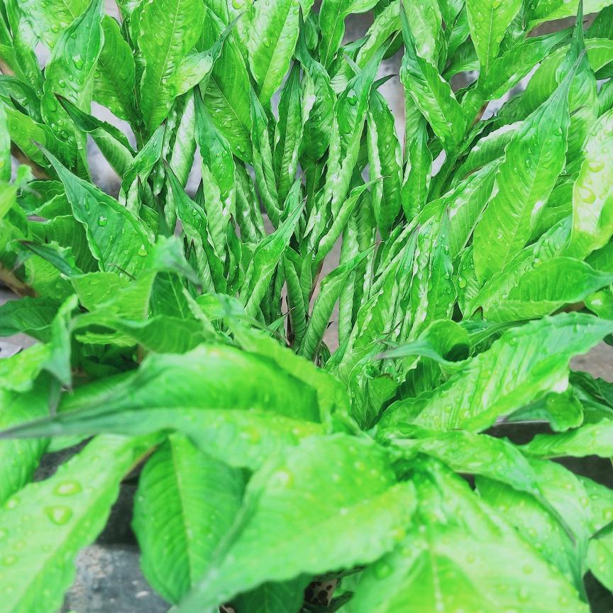 深情岁月（）你通讯录好友