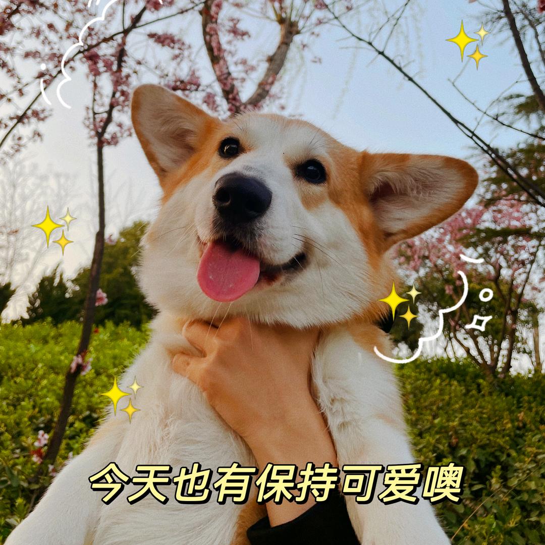 毛毛cyy