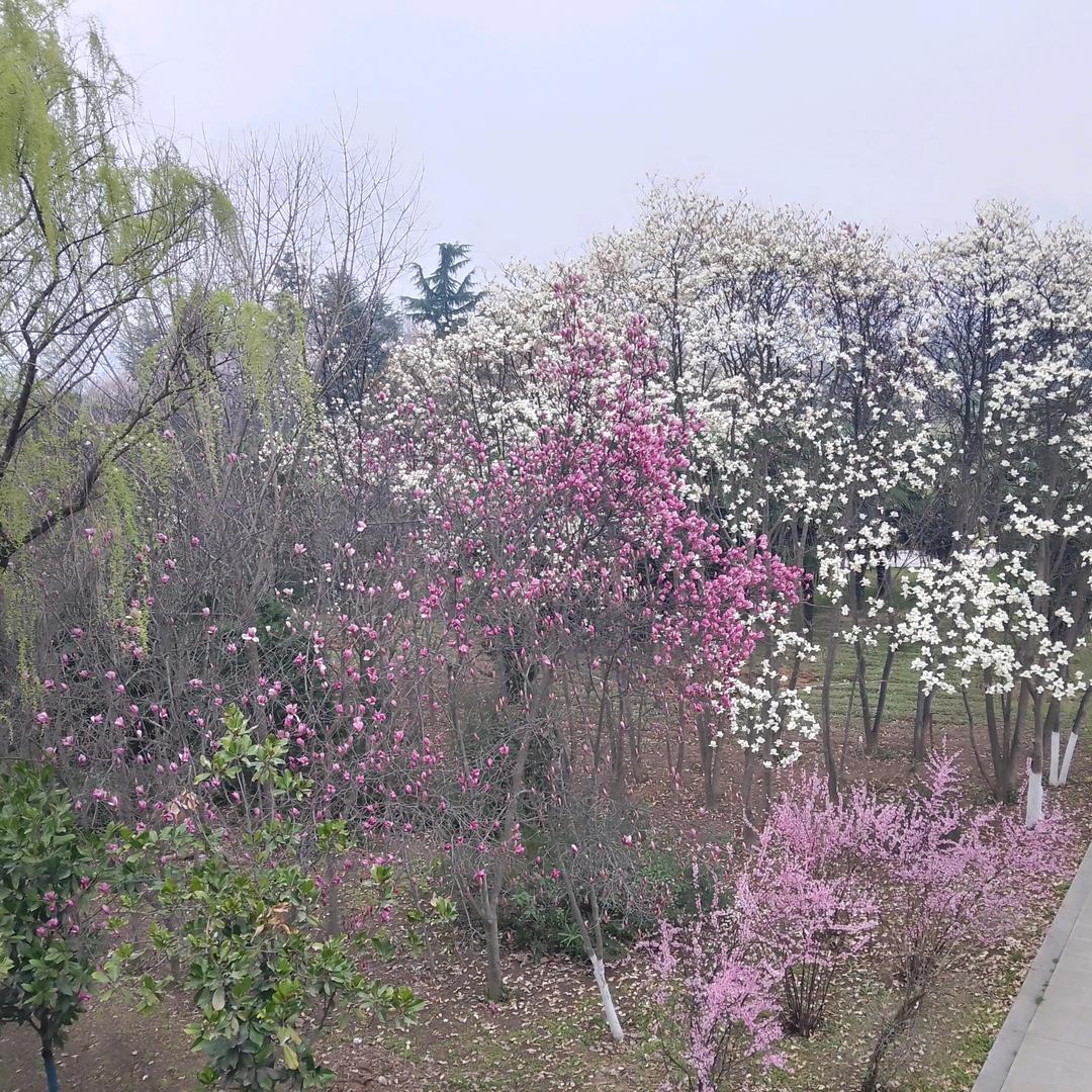 明天更精彩