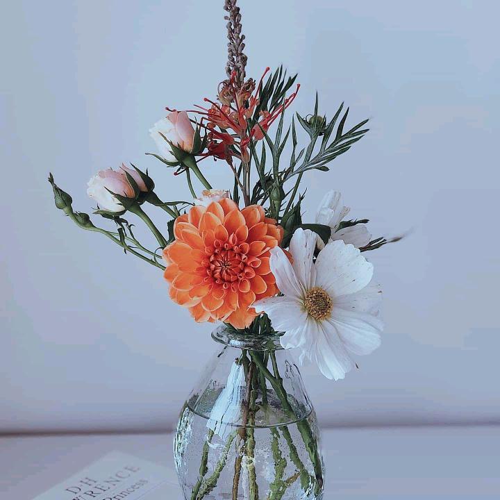 友谊万岁～