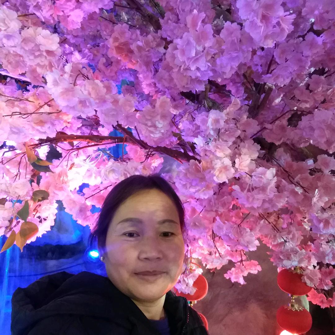 阳光下的茉梨