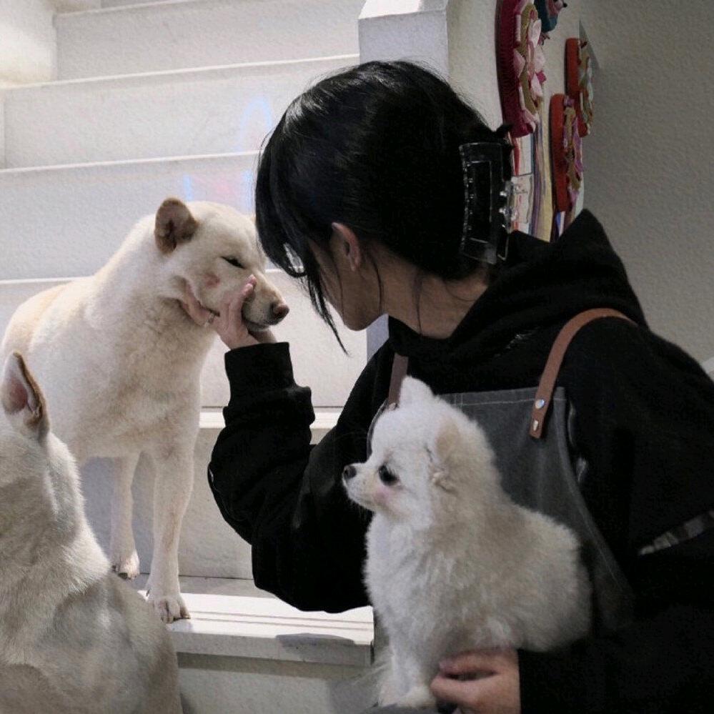 小橙子