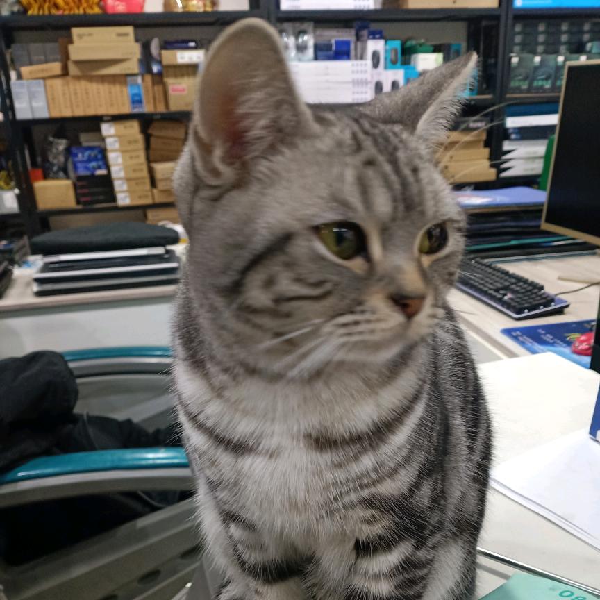 又有什么是不能失去的