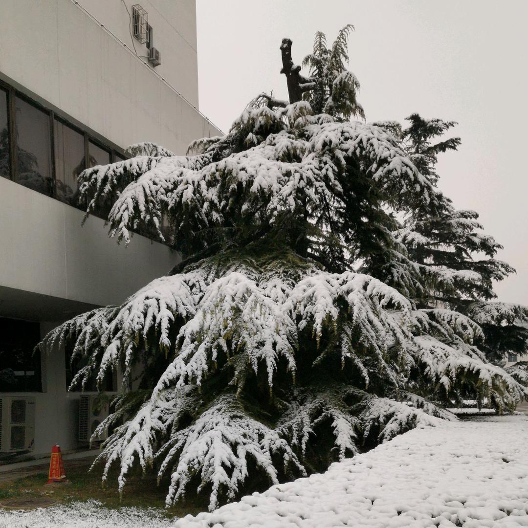 🌈*白驹过隙*🌈