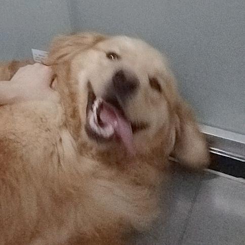 梦晨卤菜