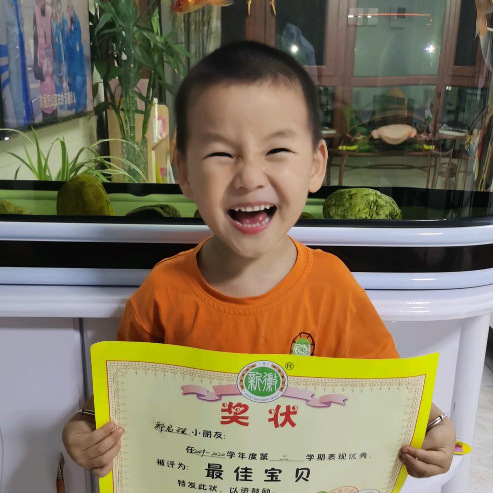郑智