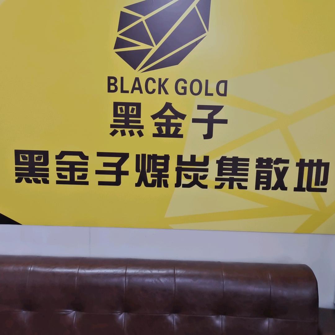 黑金子兰炭