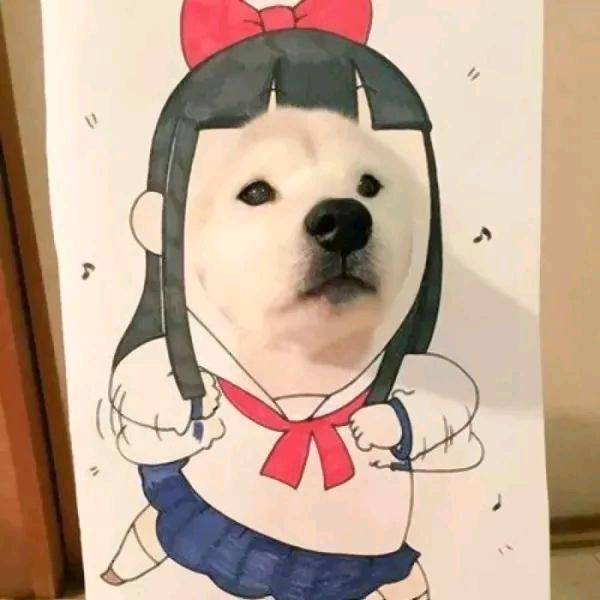 美美酱