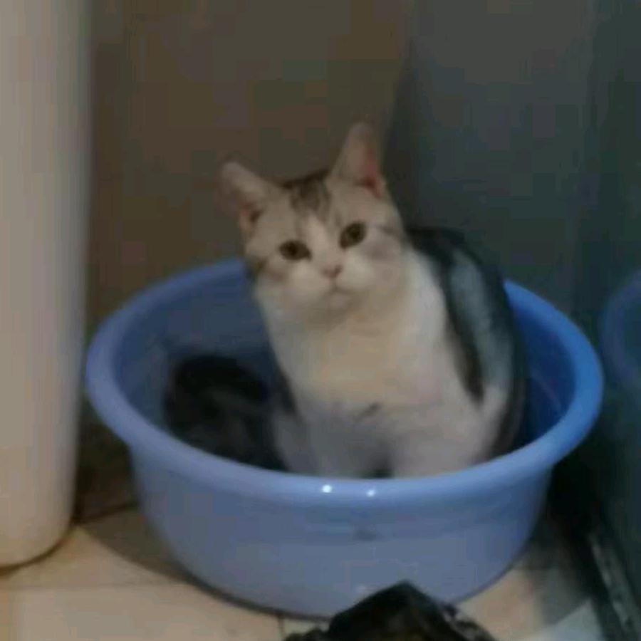 笃定