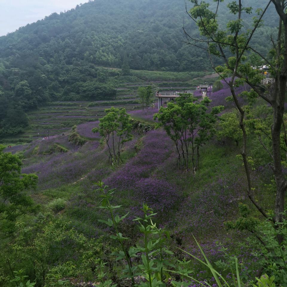 缘来是你_243610467