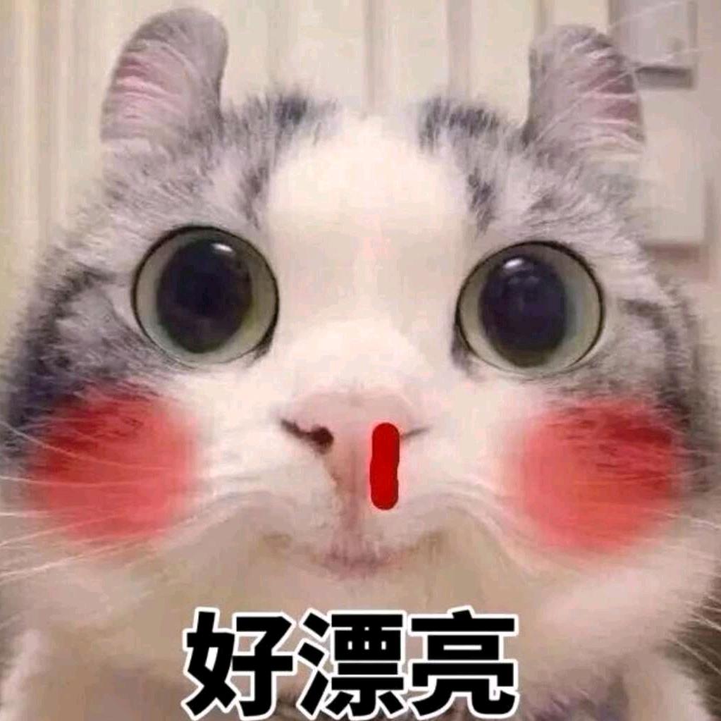 子非鱼