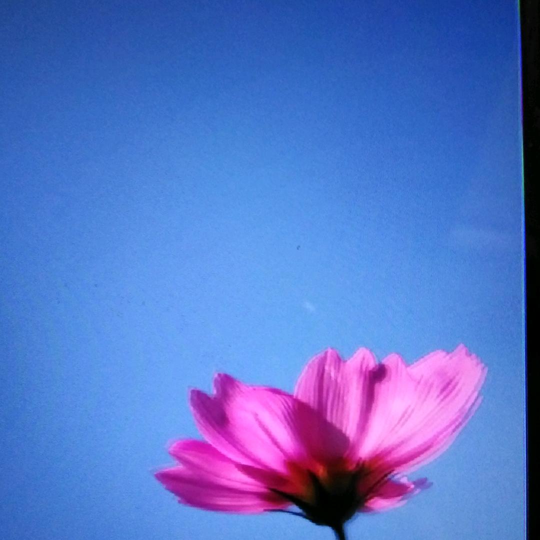 平安是福