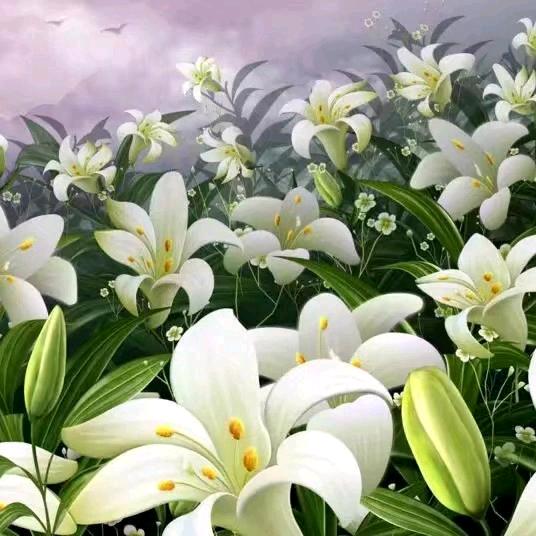 鑫源花卉庭院绿植