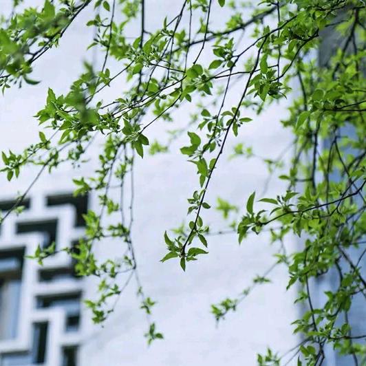润泽缘教育咨询