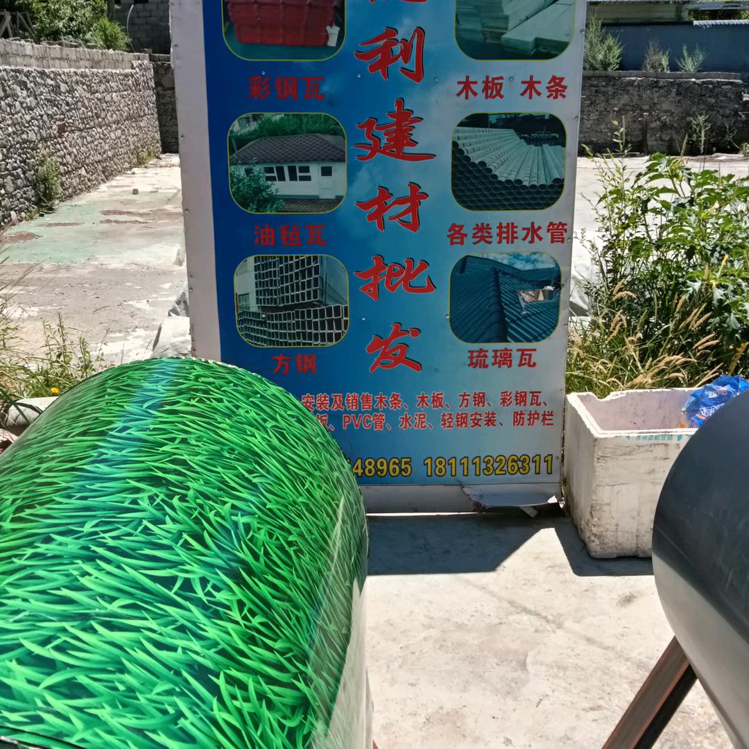 野狼