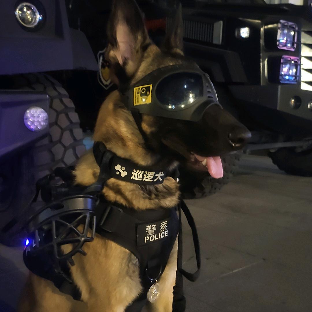 警犬天狼