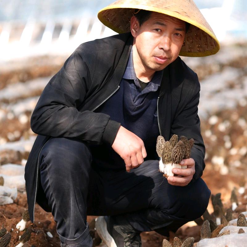 嵩县德亭野胡沟食用菌种植农民专业合作社