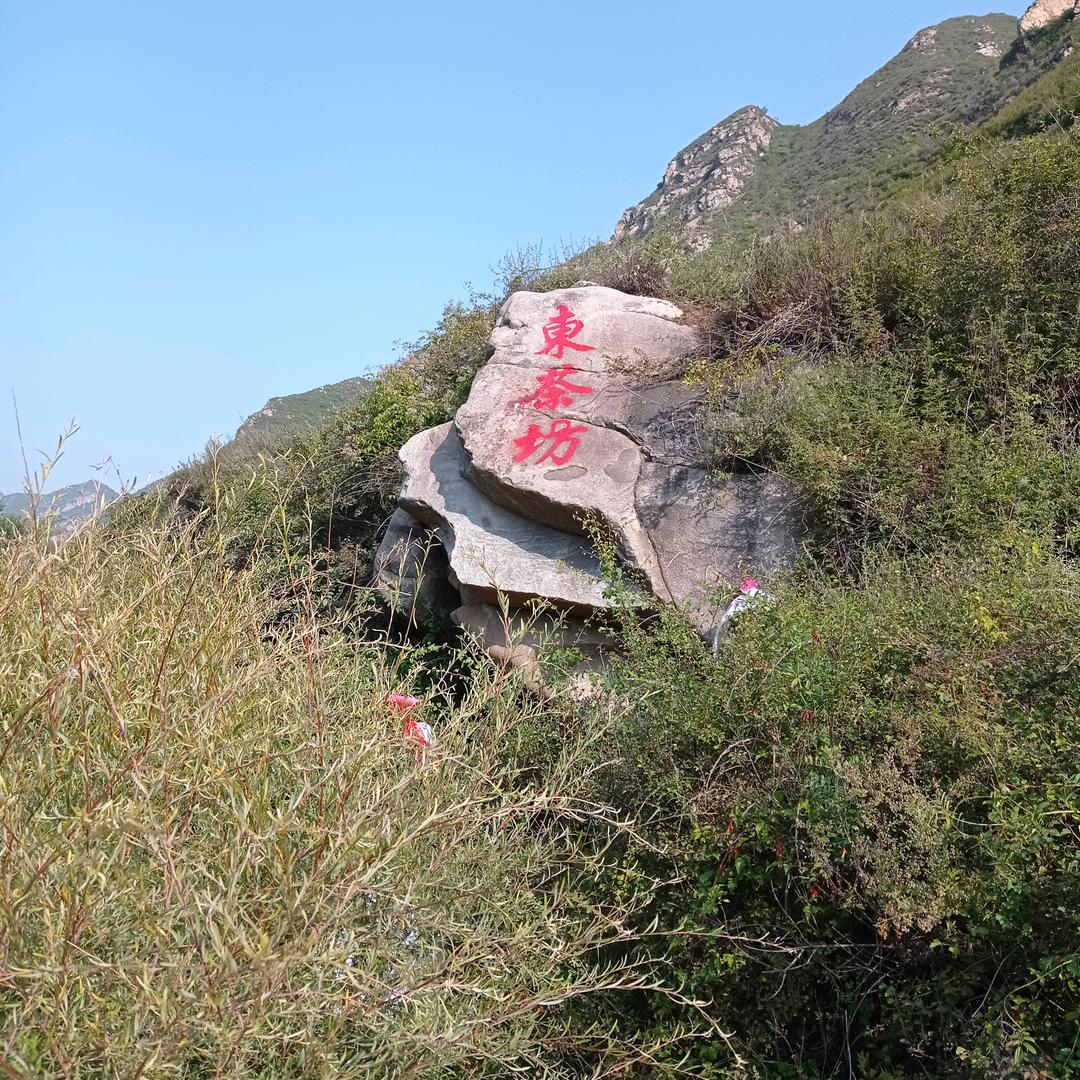 谁意