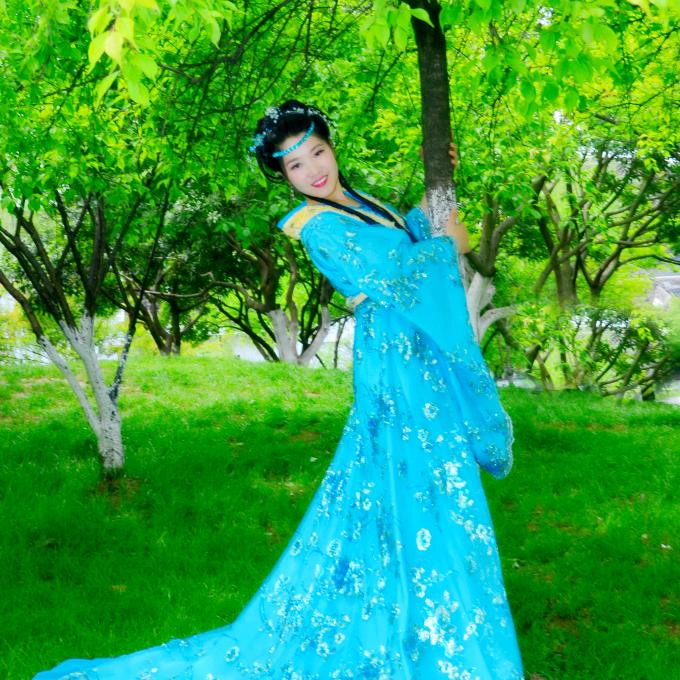 高家四小姐