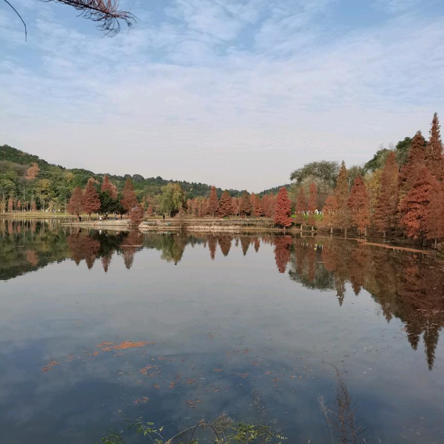 始于幻想，死于现实┐( ‾᷅㉨‾᷅ )┌