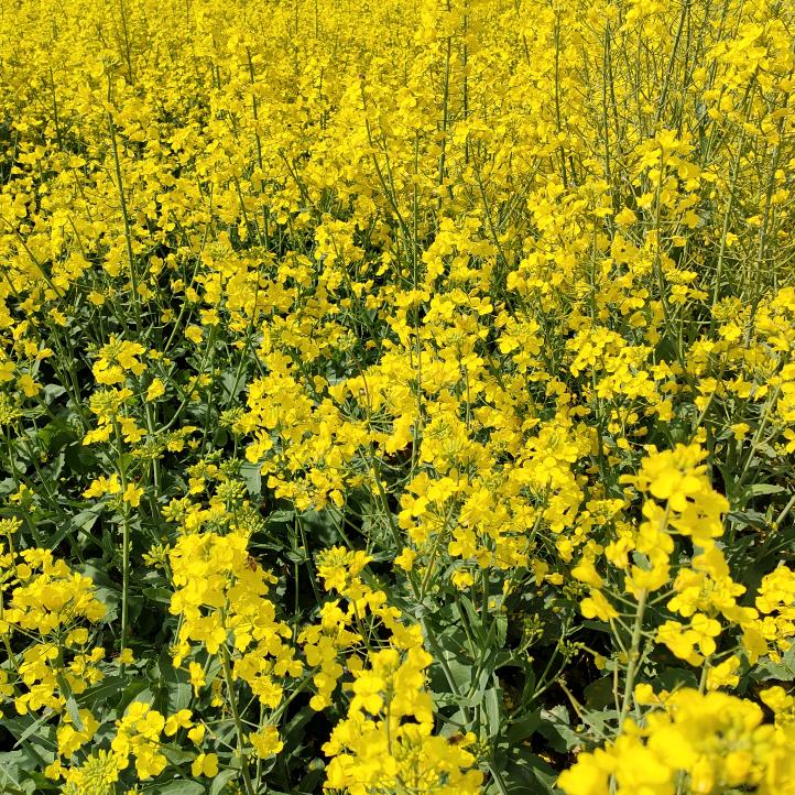 最高境界☞了＠_＠德娟