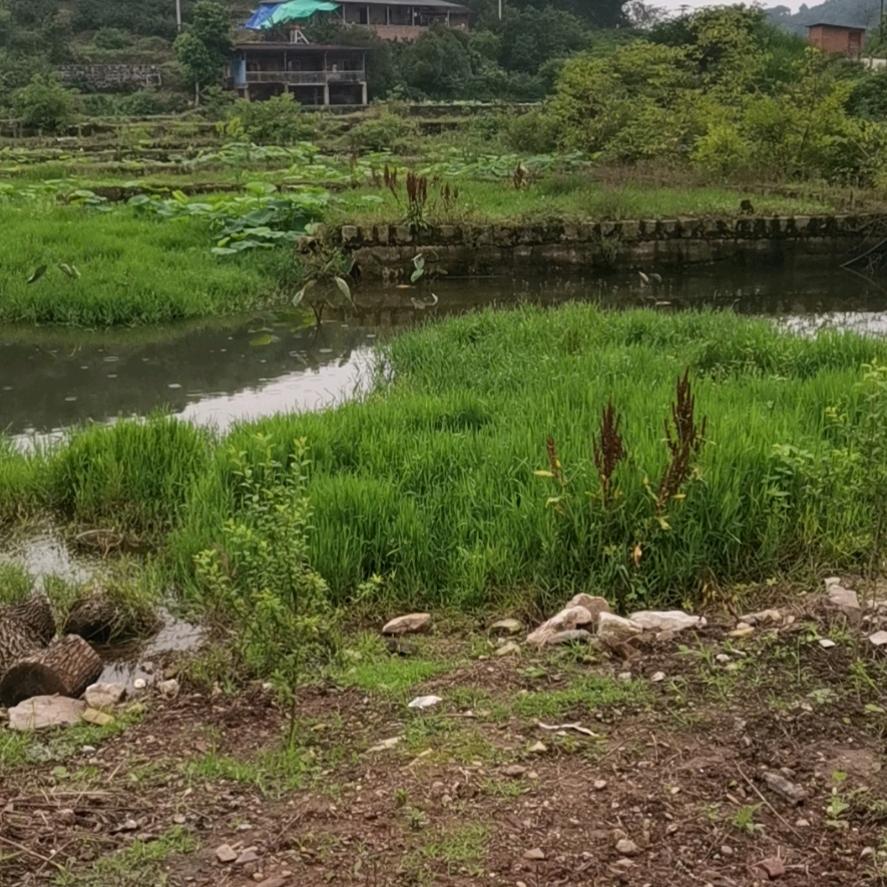 嘉丰户外生活号