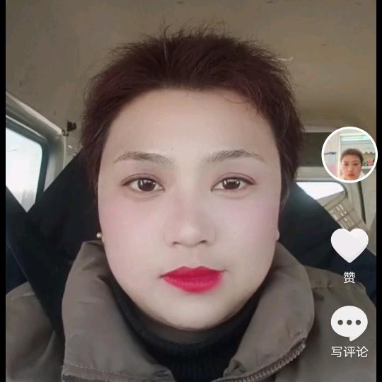 自由风8580