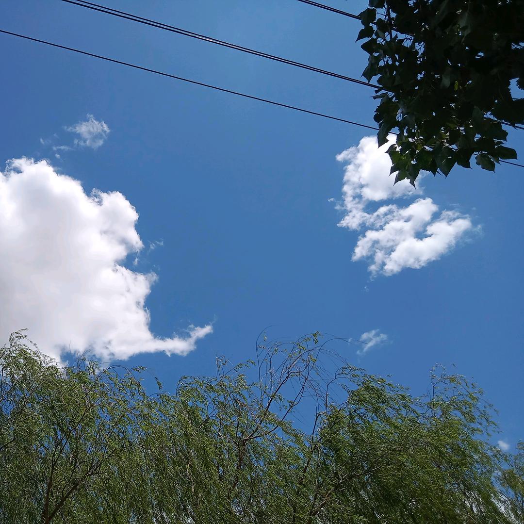 她夏了夏天