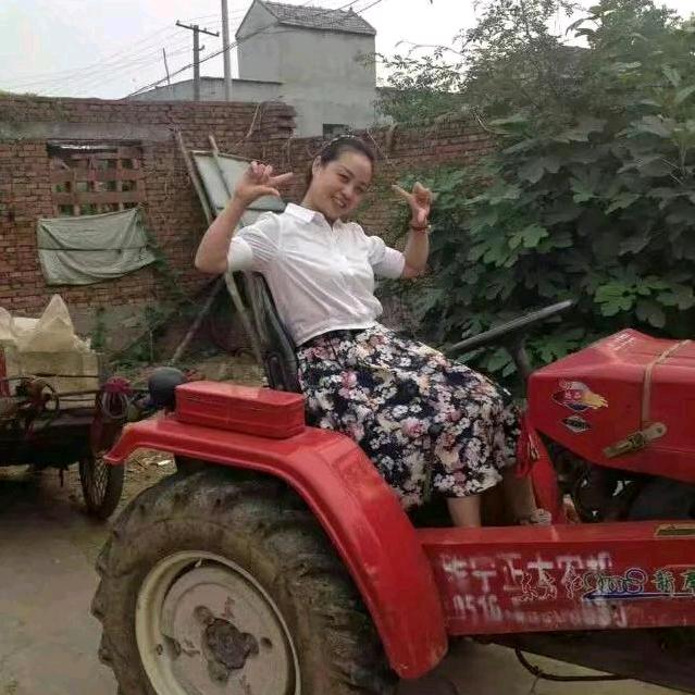 家妹（网约车）