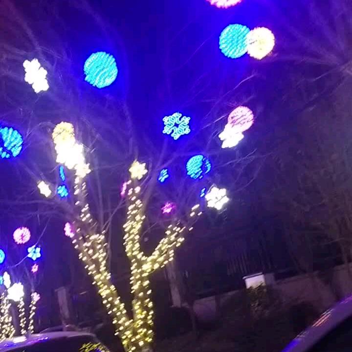 米粒儿