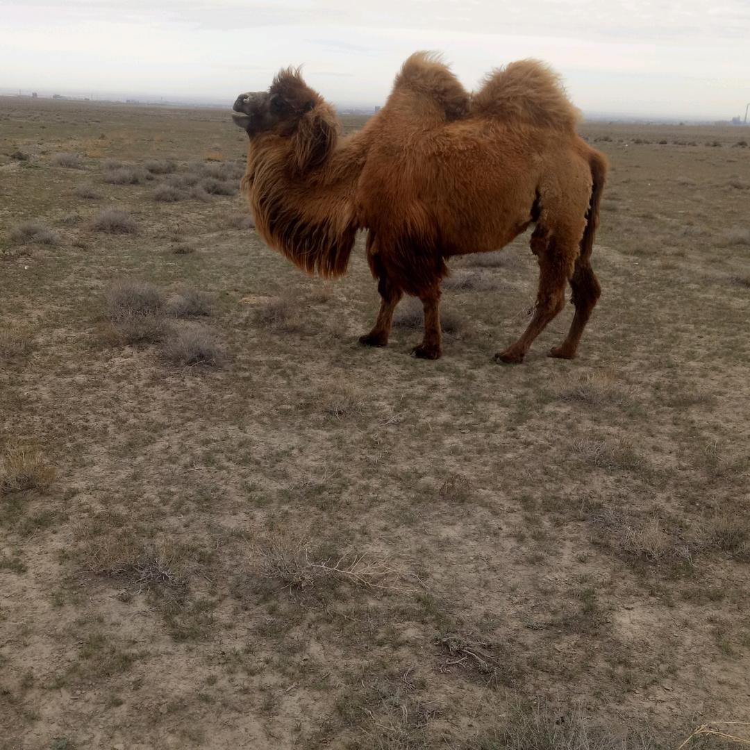 吉祥如意快乐生活