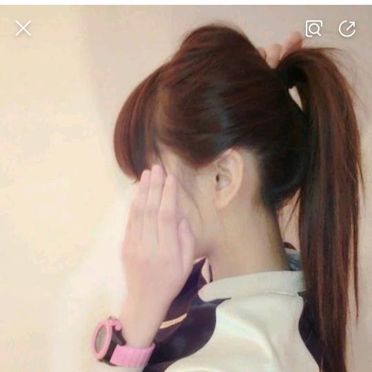 山茶花读不懂白玫瑰