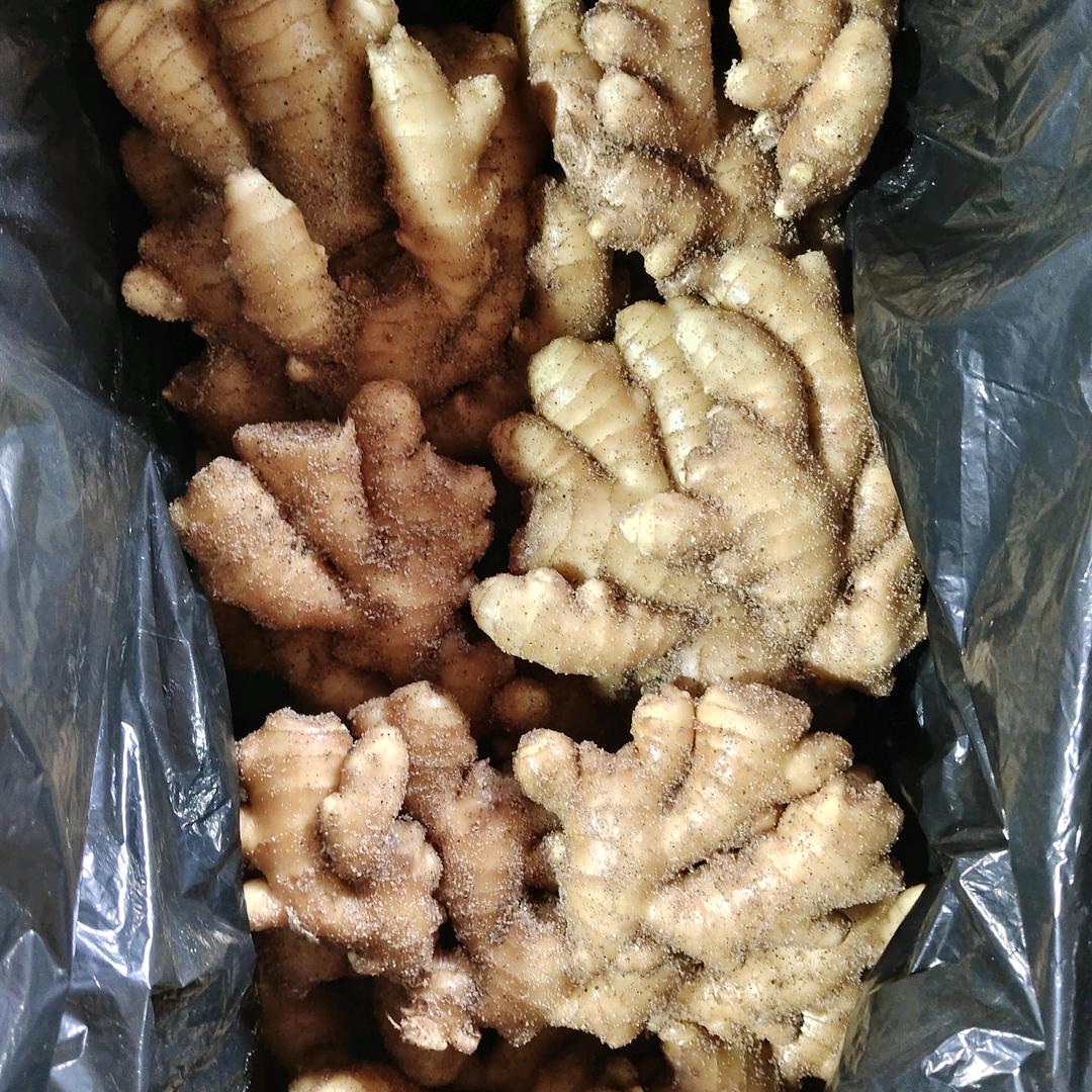 明洲姜业
