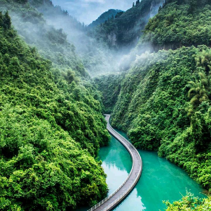 曾荣