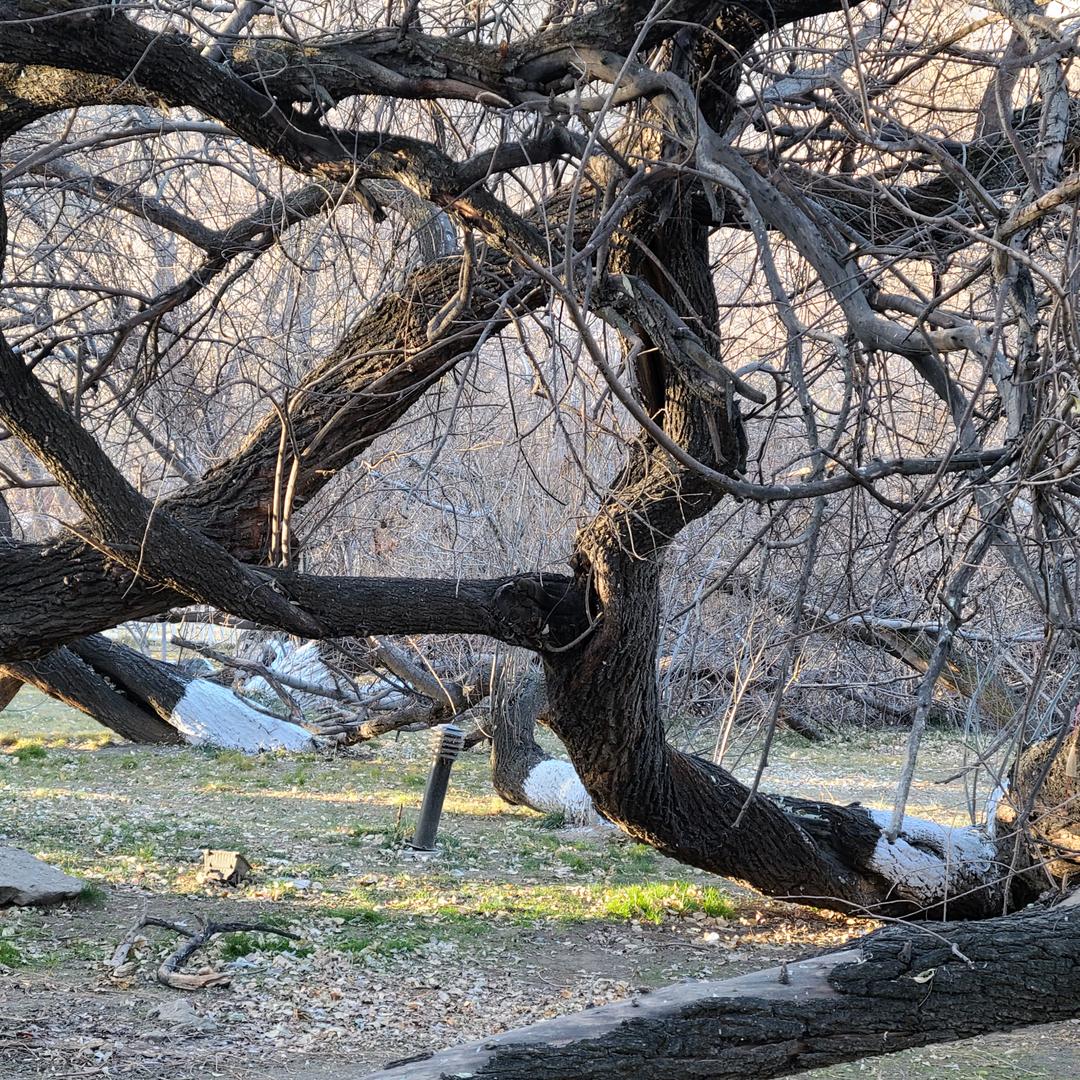 在路上的汉子 老祝外贸淘宝仓