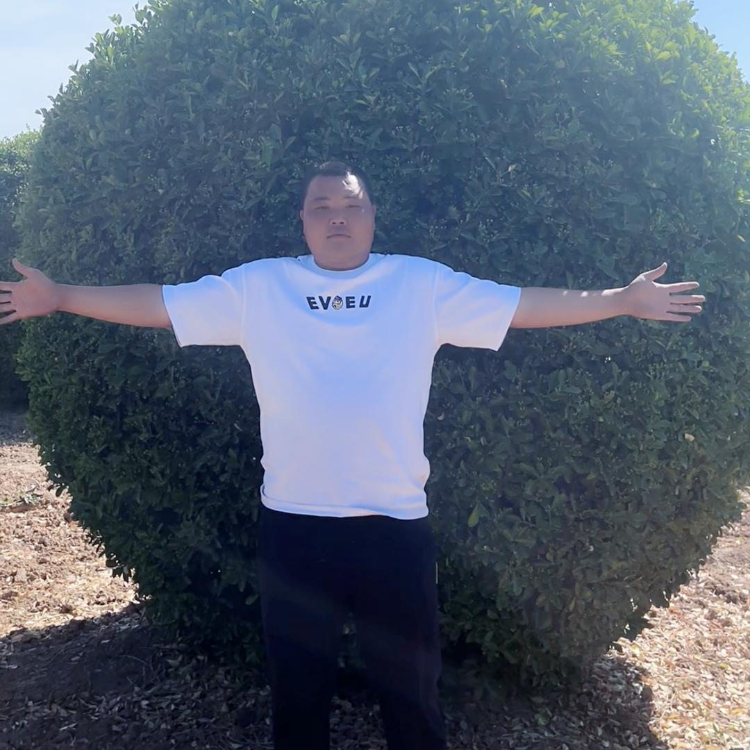 偃师华海大叶黄杨基地