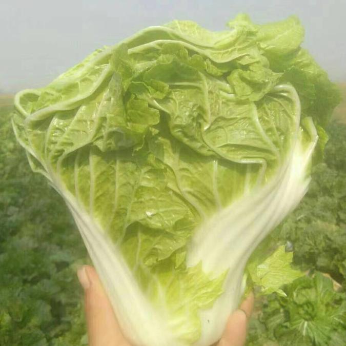 惜缘果蔬小程
